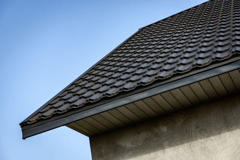 Metal Fascia Repair in Overland Park, KS